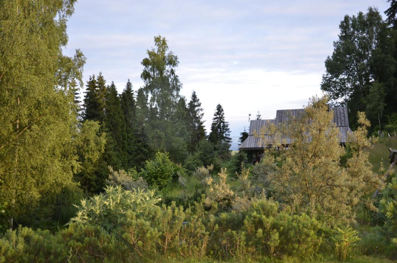 Mountain Chalet Smolenisko Domek W Gorach Nowy Targ Exterior photo